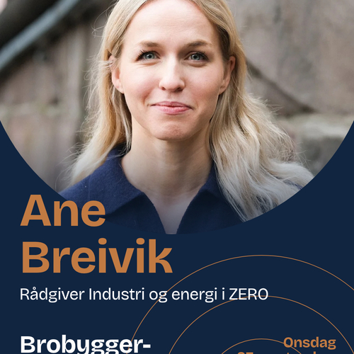 Ane Breivik